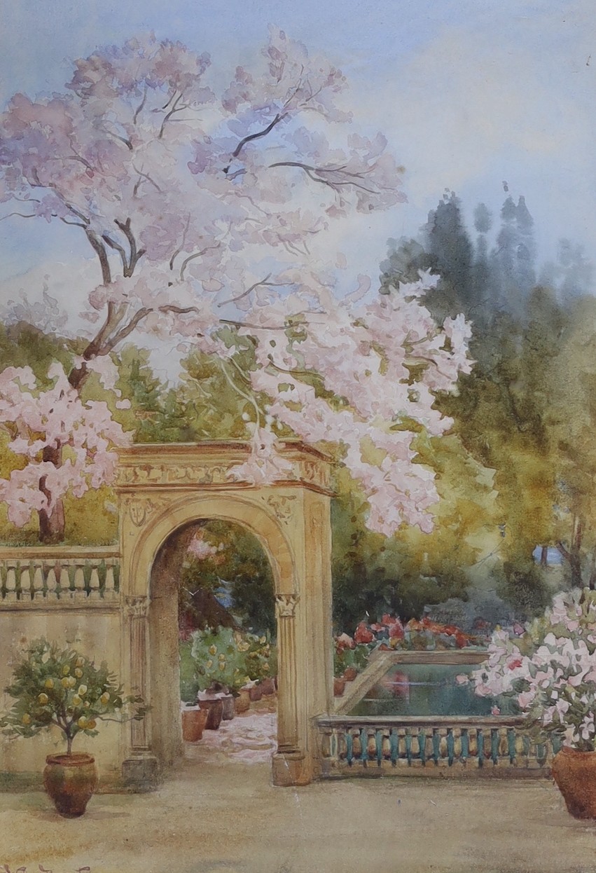 A. Wallace Remington, 'Japanese Magnolia', signed and dated, 34 x 24cm